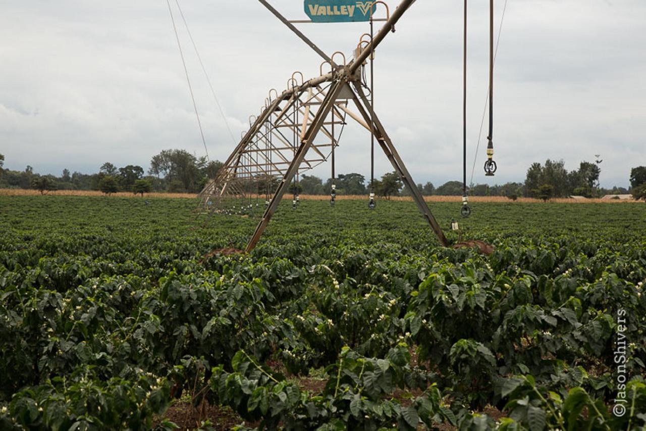 Weru Weru River Lodge Exteriér fotografie