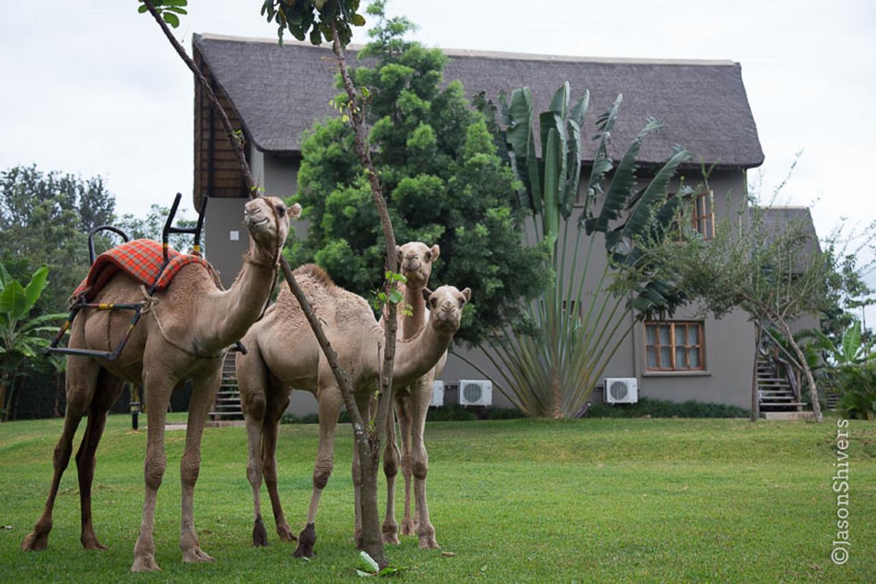 Weru Weru River Lodge Exteriér fotografie